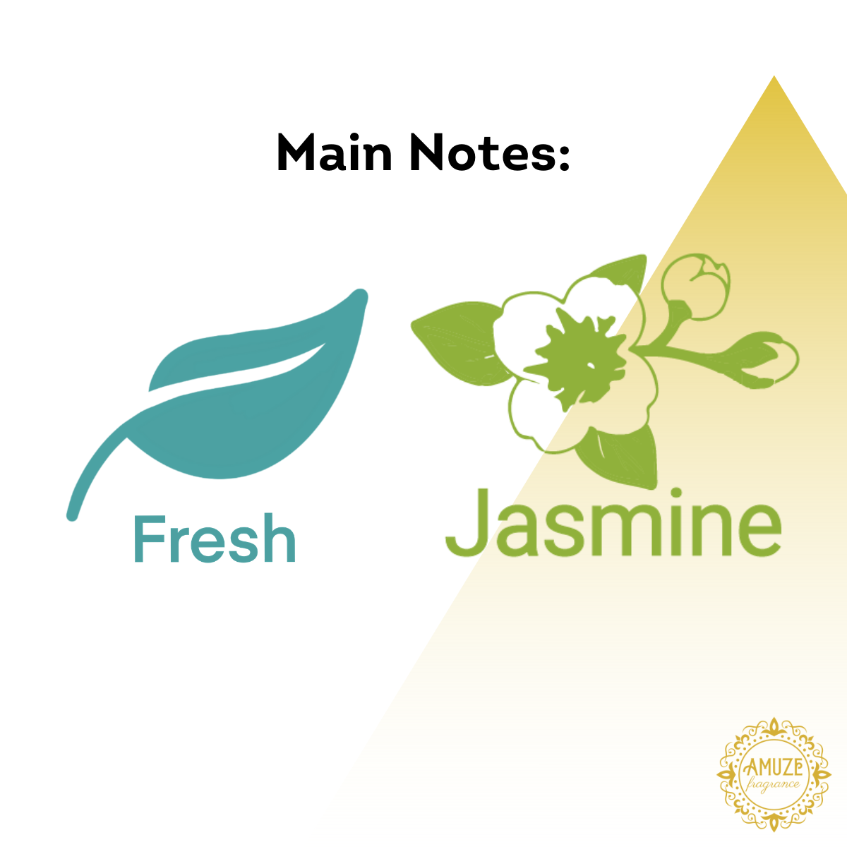 King's Jasmine